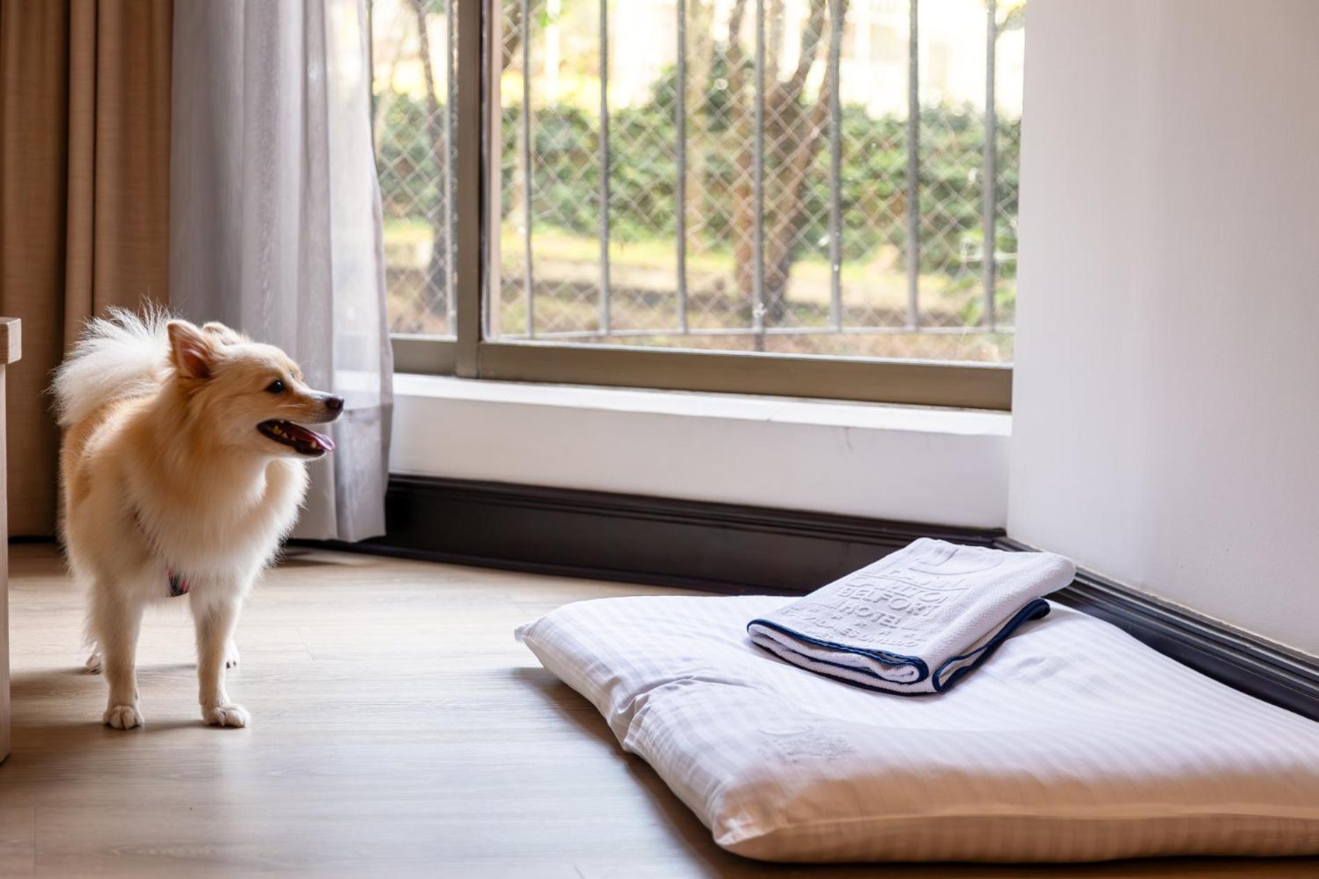 Hotel Dann Carlton Belfort Μεντεγίν Εξωτερικό φωτογραφία A dog bed